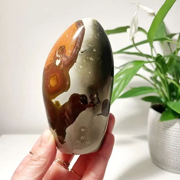 Jaspis Polychrome - MAAL kristali